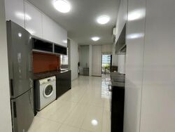 Sant Ritz (D13), Condominium #479569521